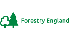 Forestry England @1X